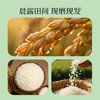 崇明大米正宗 崇明岛2025新米 鲜香大米5kg软糯珍珠米粳米香米 含胚芽10斤 /粮油调味 /米 /珍珠米 商品缩略图3