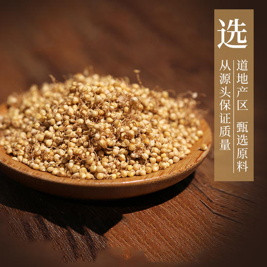 谷芽 康美中药饮片 独立小包装10g起 商品图1