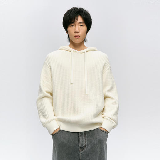 【男装】【商场同款】麦檬冬套头毛衫9FA330481 商品图0