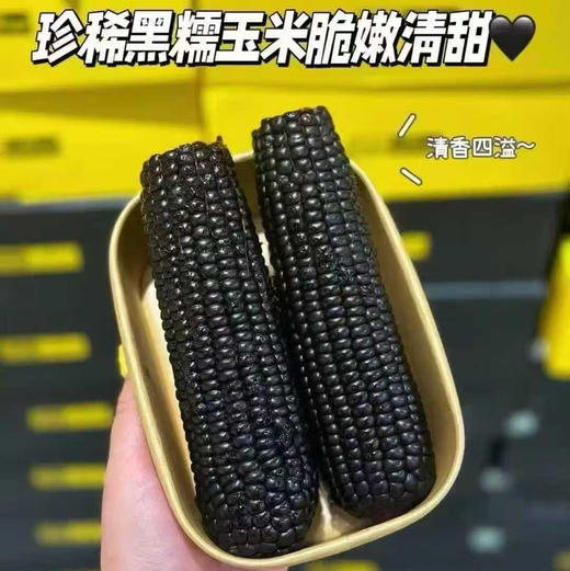 【黑金玉米双拼/巧克力玉米系列】#🌽黑金时刻玉米
软糯到拉丝的玉米
一盒里有两种 黄糯玉米和黑玉米
玉米软糯绵密 一点也不粘牙 甜度恰当
特点总结：软糯不干巴 拉丝不粘牙 商品图1