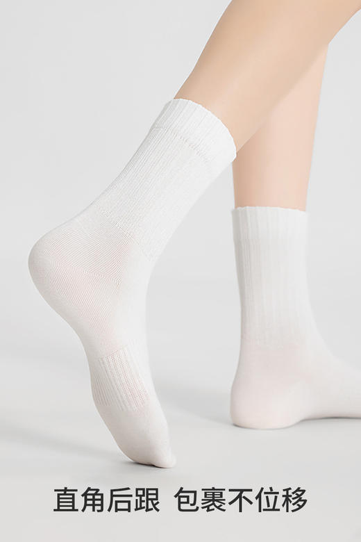 副歌高棉基础抑菌2670/1617 商品图3