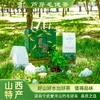 芦芽毛建手提袋75g 商品缩略图1