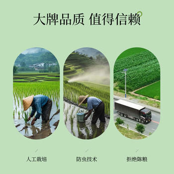 崇明大米正宗 崇明岛2025新米 鲜香大米5kg软糯珍珠米粳米香米 含胚芽10斤 /粮油调味 /米 /珍珠米 商品图2