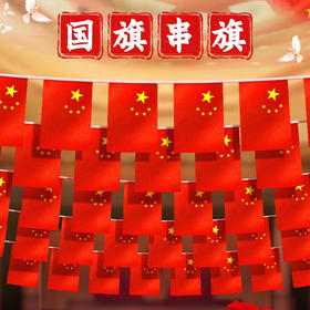 国旗串旗8号