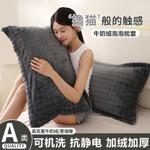 牛奶绒泡泡枕套秋冬加绒加厚48x74cm珊瑚绒枕头套家用枕芯内胆套 商品图0
