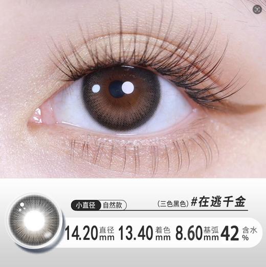 YR21日抛十片装变瘦魔法粉棕14.5大直径 商品图5