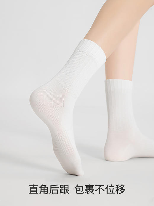 副歌高棉基础抑菌2670/1617 商品图6