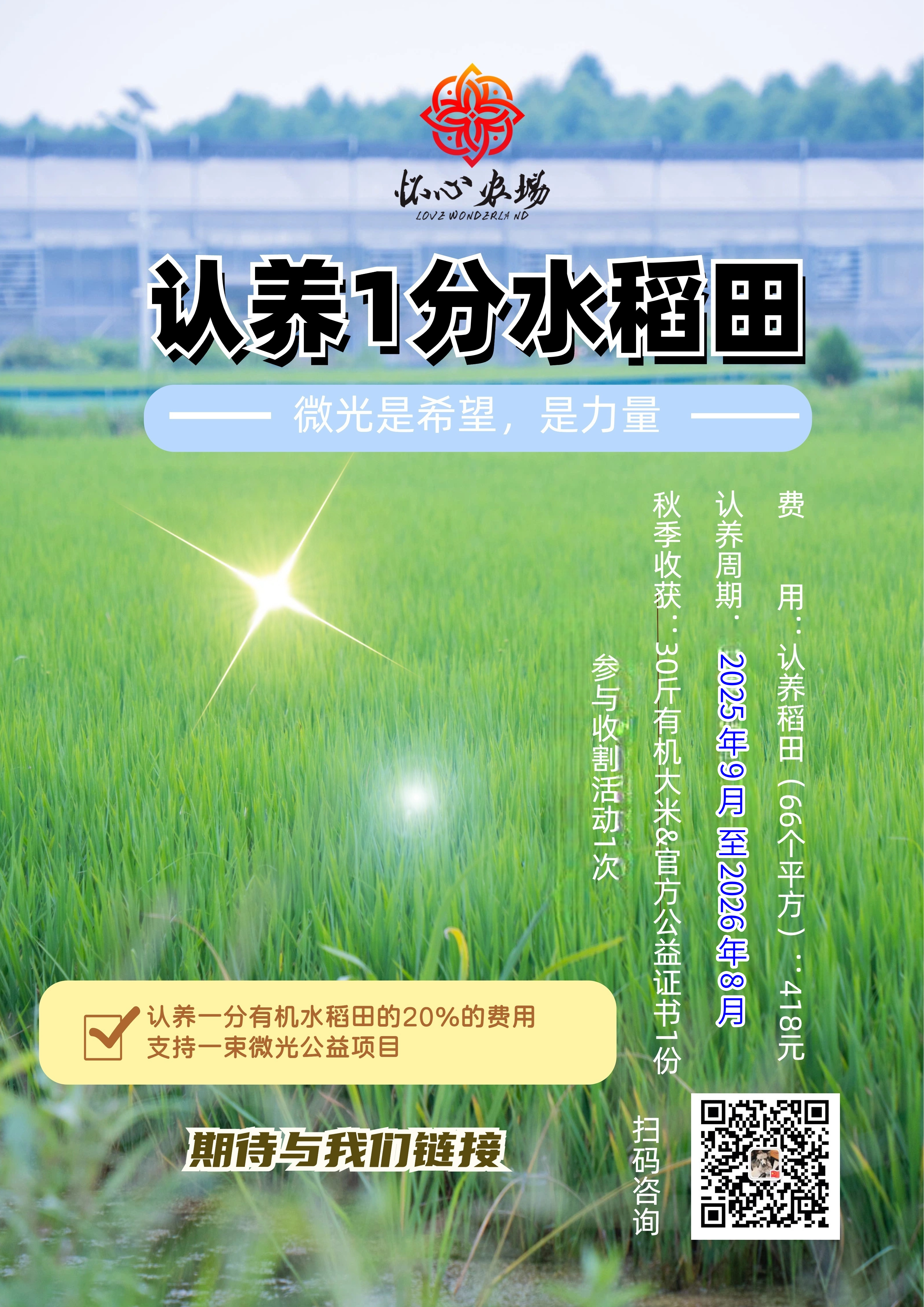 公益认养一分有机水稻田----一束微光项目