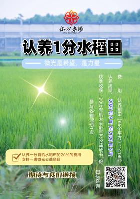 公益认养一分有机水稻田----一束微光项目