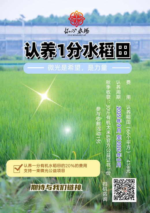公益认养一分有机水稻田----一束微光项目 商品图0