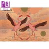 【中商原版】动物隐藏的智慧 The Hidden Wisdom of Animals Surprising Things We Can Learn From Nature 英文原版科普读物 商品缩略图3