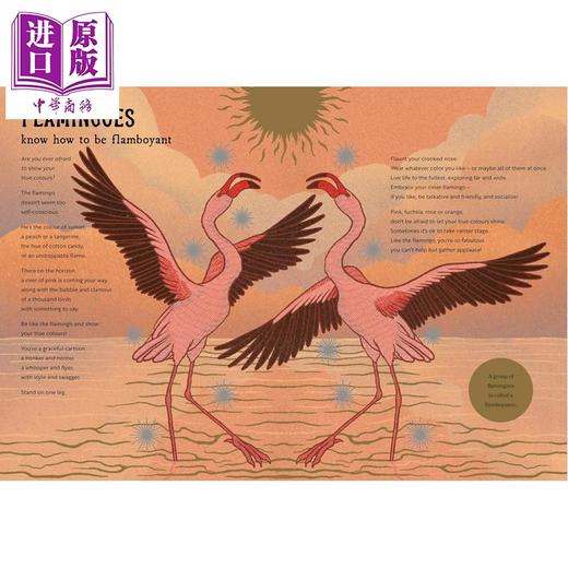 【中商原版】动物隐藏的智慧 The Hidden Wisdom of Animals Surprising Things We Can Learn From Nature 英文原版科普读物 商品图3