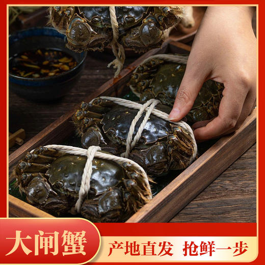 优选丨【现货礼盒】河北音乐广播产地直采 山海造阳澄湖大闸蟹活蟹礼盒  口感鲜美,肉香十足! 商品图2