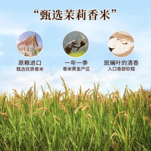热卖中！！【泰国进口】拉玛贡泰国香米 商品图1