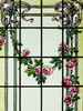 独角鹿西洋古董19世纪末20世纪初法国出品古典缎带卷叶与花卉主题彩绘玻璃花窗一对 商品缩略图5