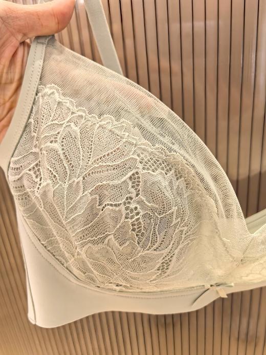 （店铺实拍，略有色差）SCHIESSER德国舒雅侧收副乳薄款透气聚拢软支撑无钢圈文胸套装21/23624B/21/23620T 商品图5