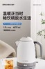 【店庆提前购】10楼 膳魔师 EHA-1332A电热水壶1.7L吊牌价699元  活动价595元 商品缩略图1