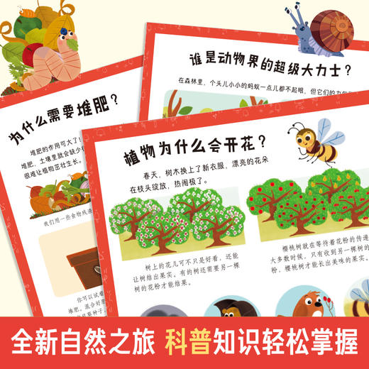 乐乐趣莉莉兰的小虫虫第二辑 蒙氏早教绘本 商品图2