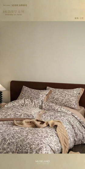 LSN超柔棉加厚磨毛四件套