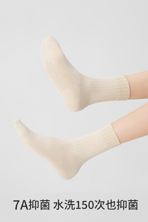 副歌高棉基础抑菌2670/1617 商品图8