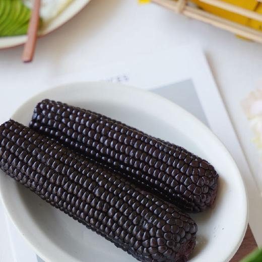 石家庄优选仓库速达，黑金时刻&黄金/黑金玉米礼盒，个头均匀、颗粒饱满、玉米香气浓郁，220克*8穗礼盒装 商品图9