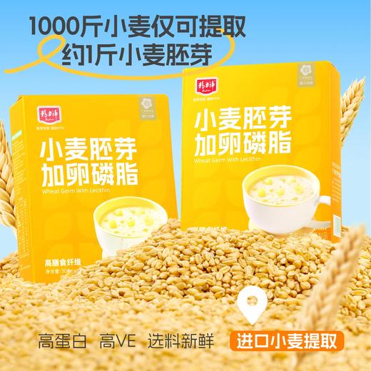 小麦胚芽加卵磷脂300g 商品图3