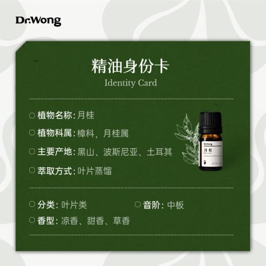 月桂 单方精油 商品图2