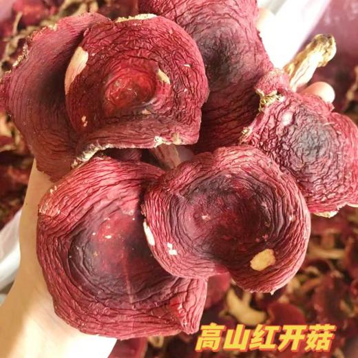 深山红菇   农家自采  孕妇 月子女性养生品 商品图1