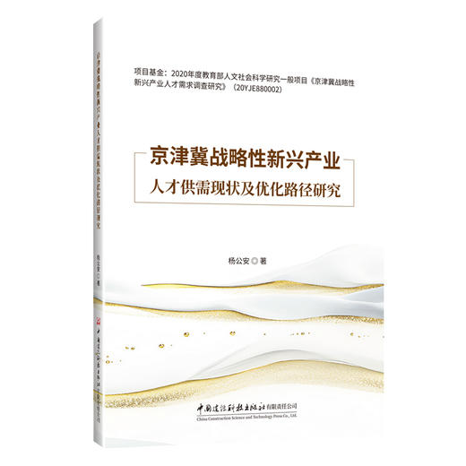 京津冀战略性新兴产业人才供需现状及优化路径研究 商品图0