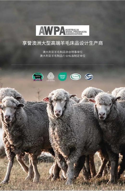 100%澳洲羊毛被秋冬被258元／条（2×2.3米），明天到 商品图1