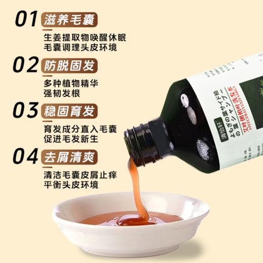 草本无科技！！！侧柏叶手工熬制植物养发洗发水 生姜控油 护发白转黑 商品图3