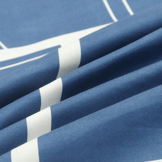 枕套枕头套单只一对成人学生儿童宿舍家用大枕芯套芦荟棉春夏新款新品 商品图2