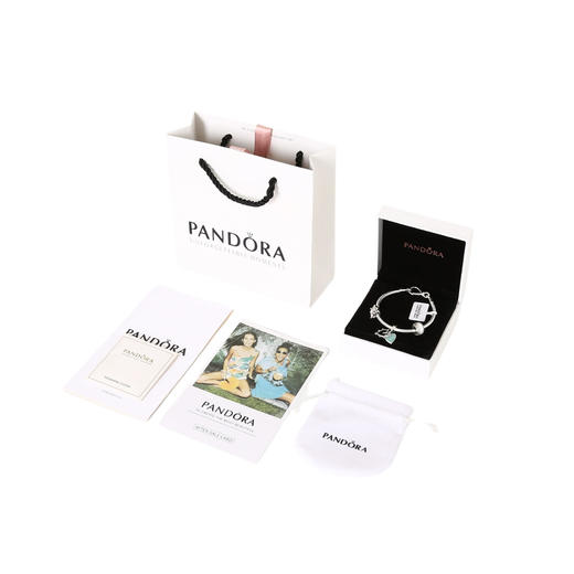 潘多拉 手链套装 友情相伴 手链套装 商品图0