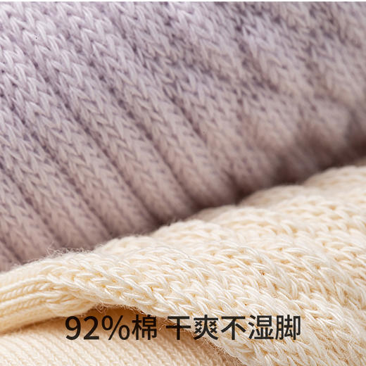 副歌高棉基础抑菌2670/1617 商品图12