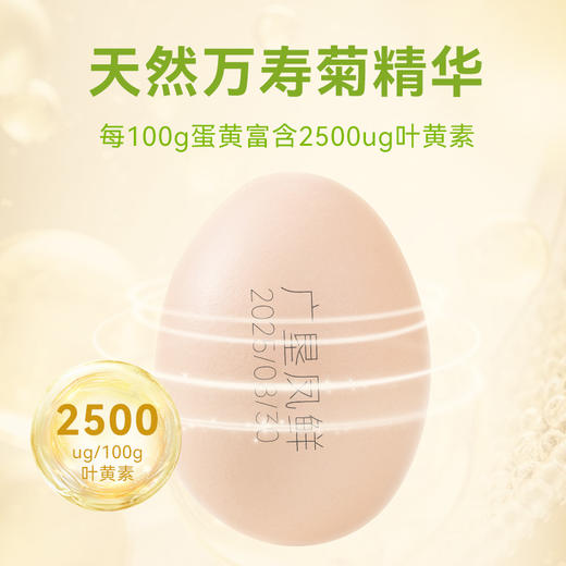 【广东农垦】凤鲜-富叶黄素可生食无抗营养鸡蛋30枚/箱 商品图1