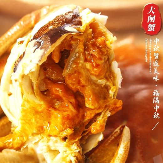 开湖热卖！【活蟹现发礼盒装】 阳澄湖大闸蟹品质现货 肉质鲜美 赠吃蟹工具！ha 商品图1