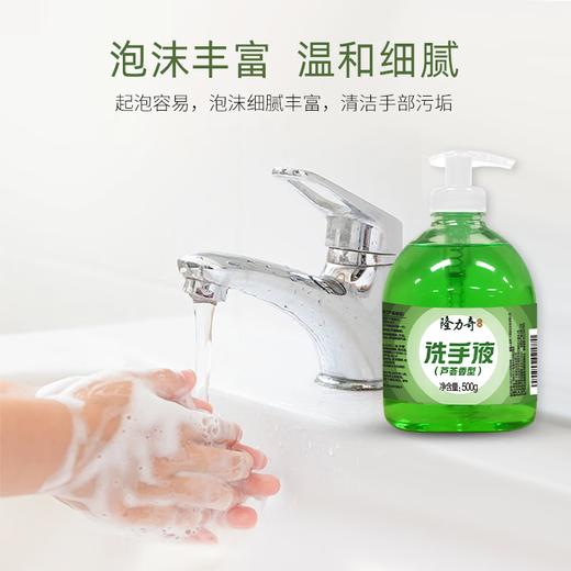 隆力奇芦荟洗手液500g 商品图4
