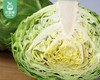 霜打菜-享通绿色圆包菜（500g±30g/份） 商品缩略图1