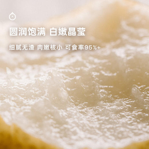 企鹅市集|山东莱阳有机秋月梨 4粒/5粒装可选 酥脆化渣 一口冰糖甜 精品梨园出品 商品图2