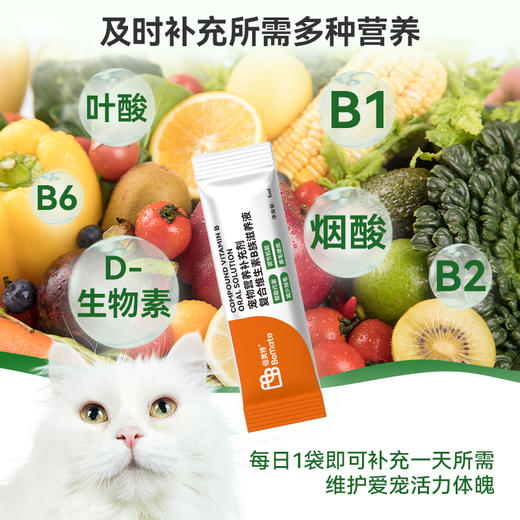 BeMate倍美特 复合维生素B族滋养液 5ml/条、85ml/瓶 原料组成：纯水、麦芽糖浆、山药、全脂奶粉、黄芪 商品图3