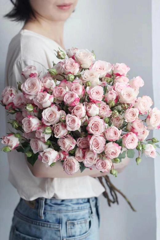 折射多头玫瑰 10支 (40-45个花苞)/扎【GY】 商品图5