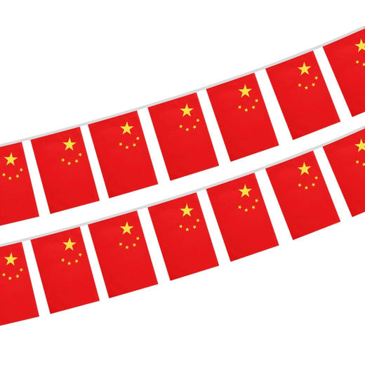 国旗串旗8号 商品图6