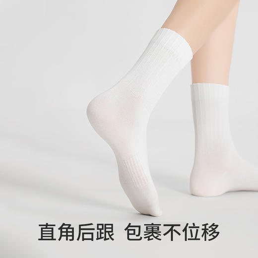 副歌高棉基础抑菌2670/1617 商品图4