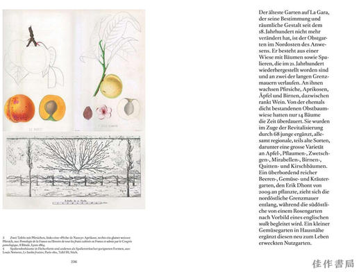 The Gardens of La Gara: An 18th Century Estate in Geneva / 拉加拉花园：日内瓦的18世纪庄园 商品图3