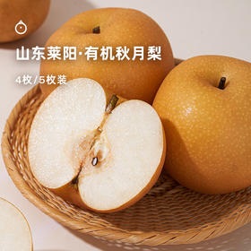 企鹅市集|山东莱阳有机秋月梨 4粒/5粒装可选 酥脆化渣 一口冰糖甜 精品梨园出品