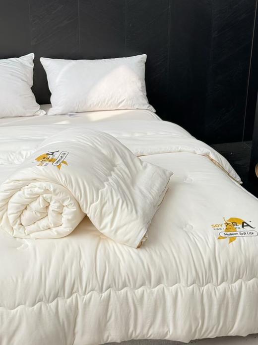 【经典李官奇大豆被升级款】升级55%大豆纤维A类抗菌冬被  天丝棉加厚子母被被芯 商品图7