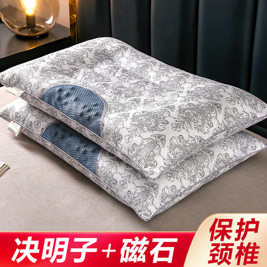 决明子磁石枕头护颈成人单双人家用男女学生宿舍单只枕芯一对新款新品 商品图0