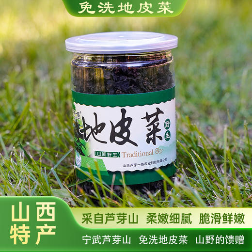 野生免洗地皮菜农家食用干货罐装 商品图4