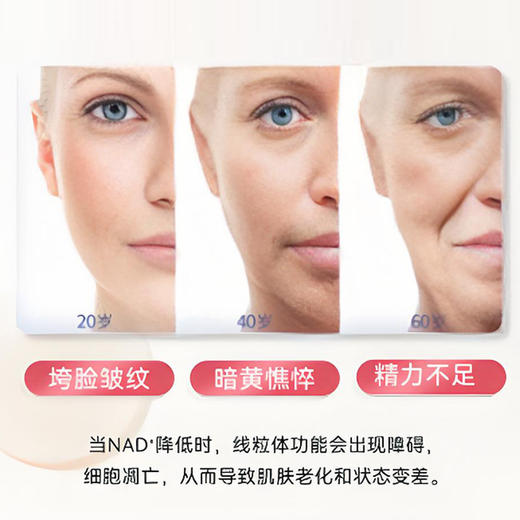 【颜之选NMN】 综合紧致/闪充NAD+  抗衰逆龄 紧致红润 专为女性悦颜设计~ 商品图2