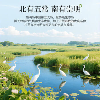 崇明大米正宗 崇明岛2025新米 鲜香大米5kg软糯珍珠米粳米香米 含胚芽10斤 /粮油调味 /米 /珍珠米 商品图1